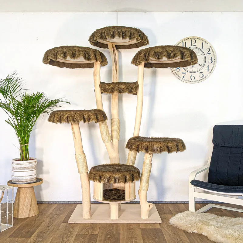 RESERVIERT - Naturkratzbaum 4625 Kratzbaum Natur Holz Design 205 cm hoch Katzenbaum