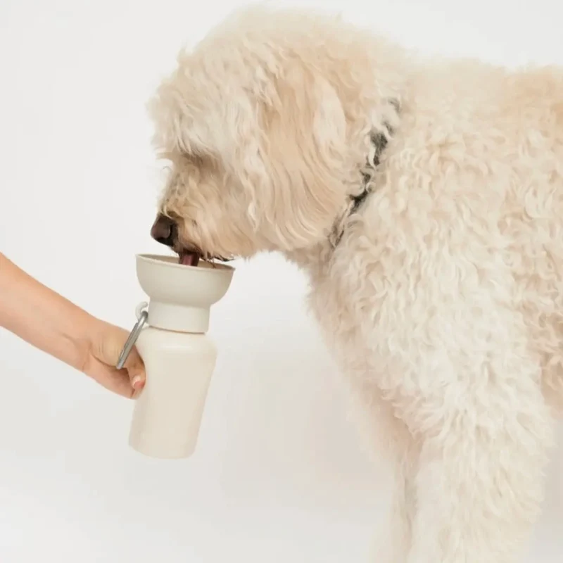 Hundewasserflasche Klein Klappbar