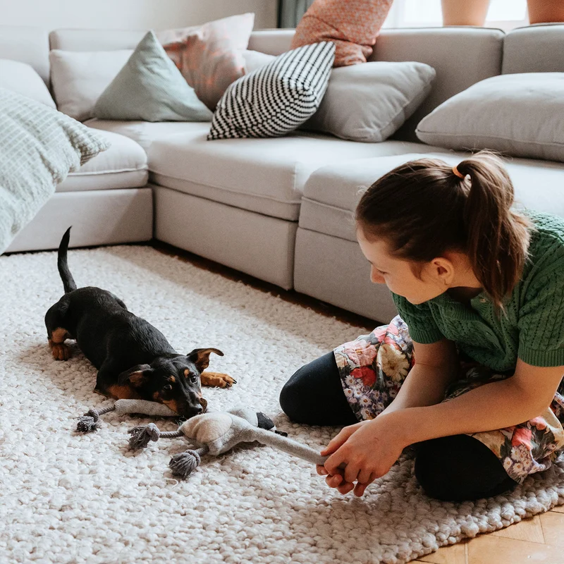 Hundespielzeug Eira