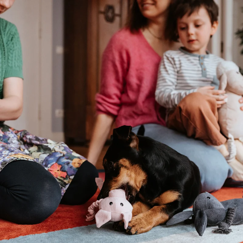 Hundespielzeug Alma