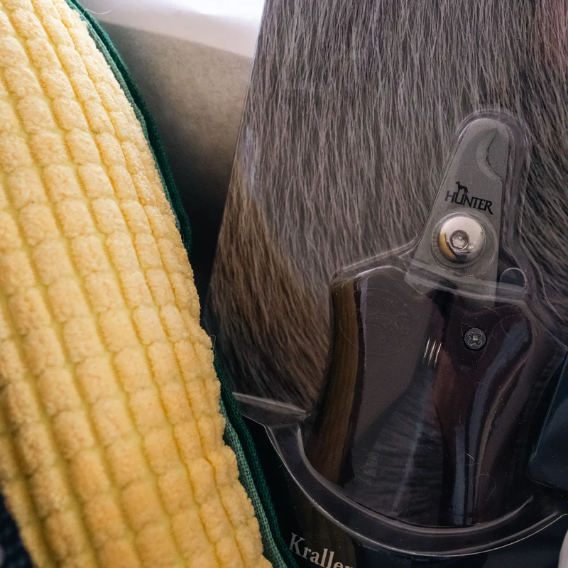 Seniorenbox Hund