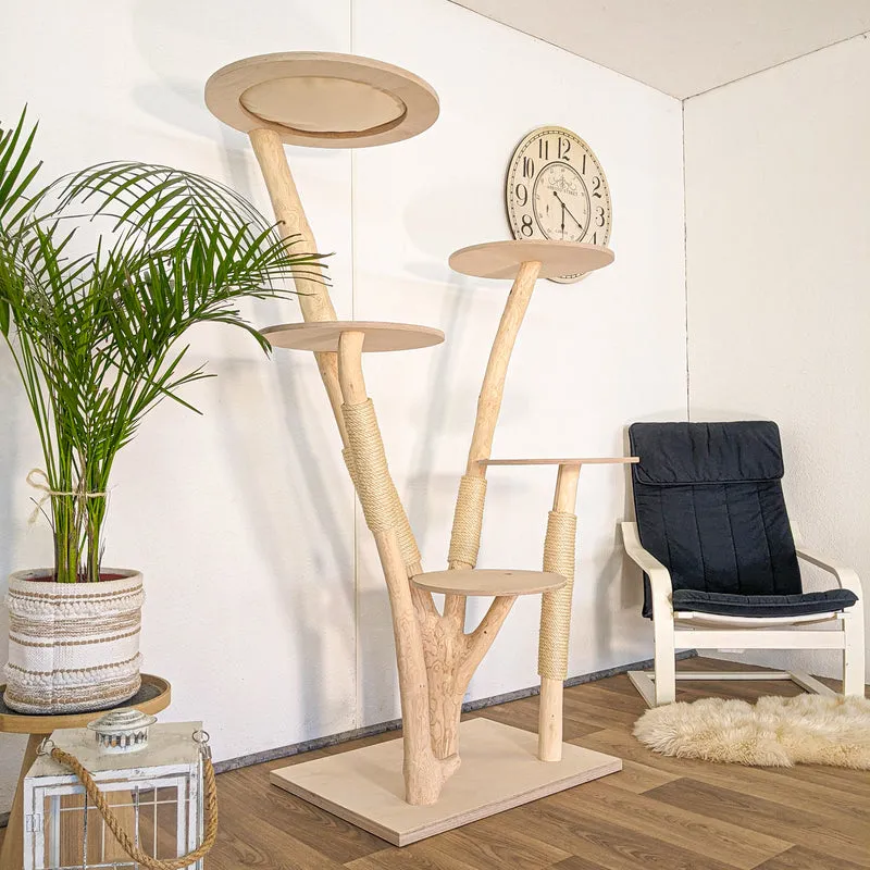 RESERVIERT - Naturkratzbaum 4617 Kratzbaum Natur Holz Design 175 cm hoch Katzenbaum