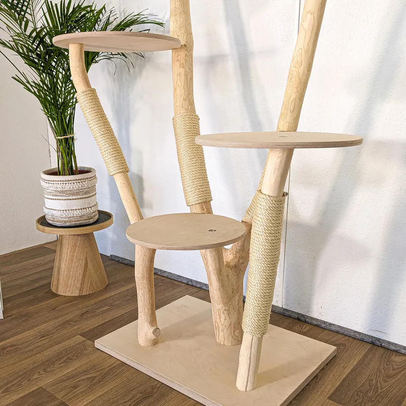 RESERVIERT - Naturkratzbaum 4617 Kratzbaum Natur Holz Design 175 cm hoch Katzenbaum