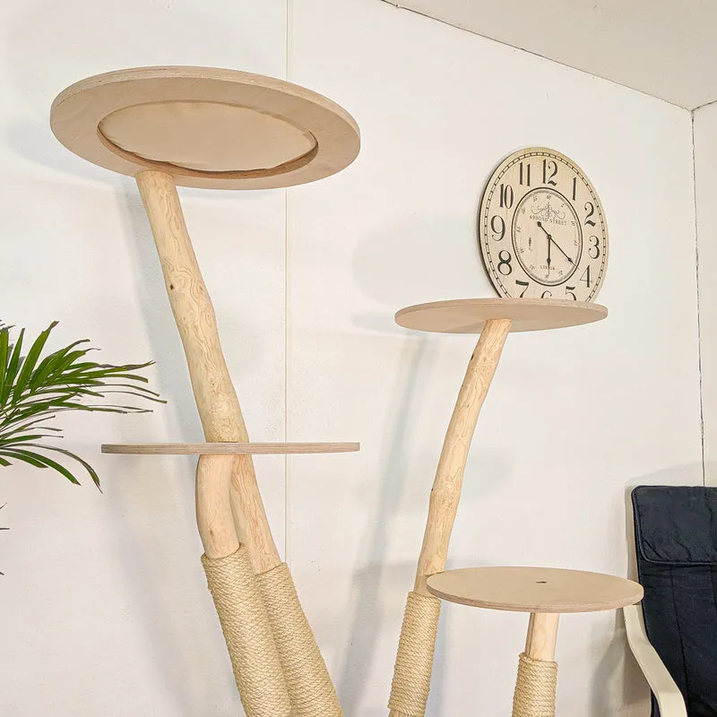 RESERVIERT - Naturkratzbaum 4617 Kratzbaum Natur Holz Design 175 cm hoch Katzenbaum