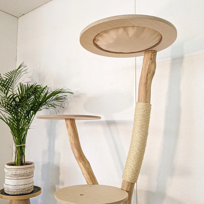 RESERVIERT - Naturkratzbaum 4614 Kratzbaum Natur Holz Design 150 cm hoch Katzenbaum