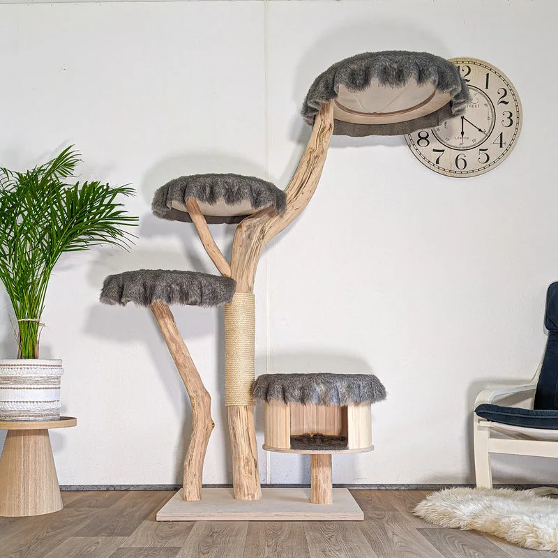 RESERVIERT - Naturkratzbaum 4604 Kratzbaum Natur Holz Design 175 cm hoch Katzenbaum
