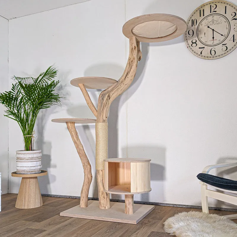 RESERVIERT - Naturkratzbaum 4604 Kratzbaum Natur Holz Design 175 cm hoch Katzenbaum