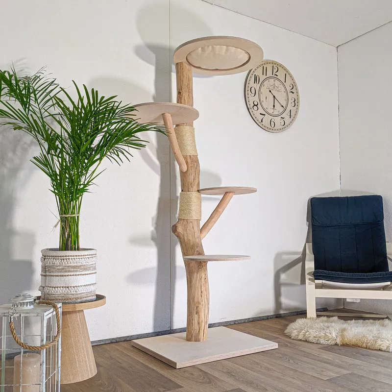 Naturkratzbaum 4596 Kratzbaum Natur Holz Design 185 cm hoch Katzenbaum