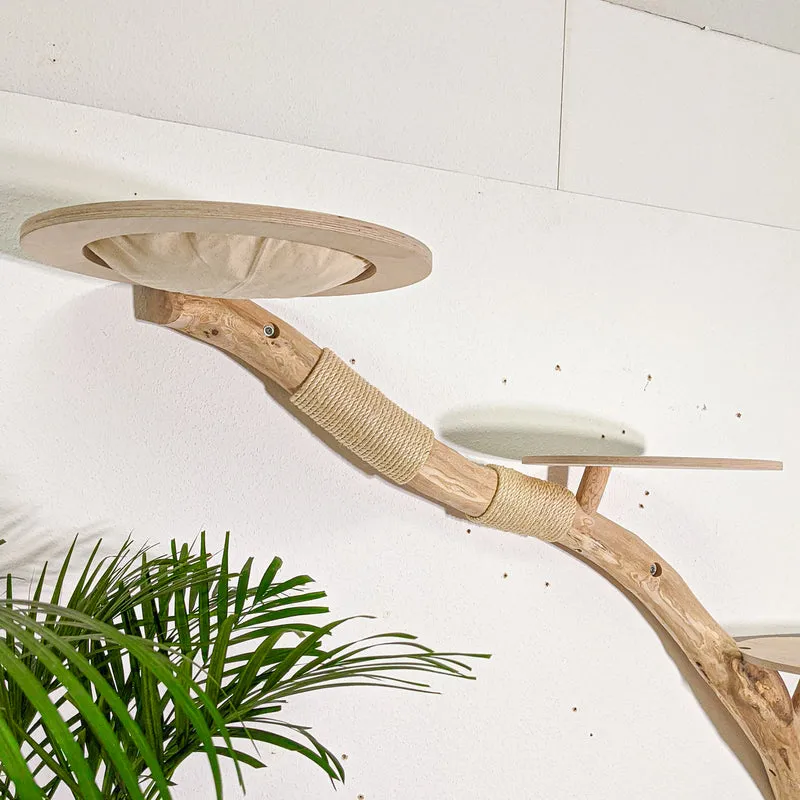 RESERVIERT - Wandkratzbaum 4592 Naturkratzbaum 180 cm Länge Kratzbaum Natur Holz Design
