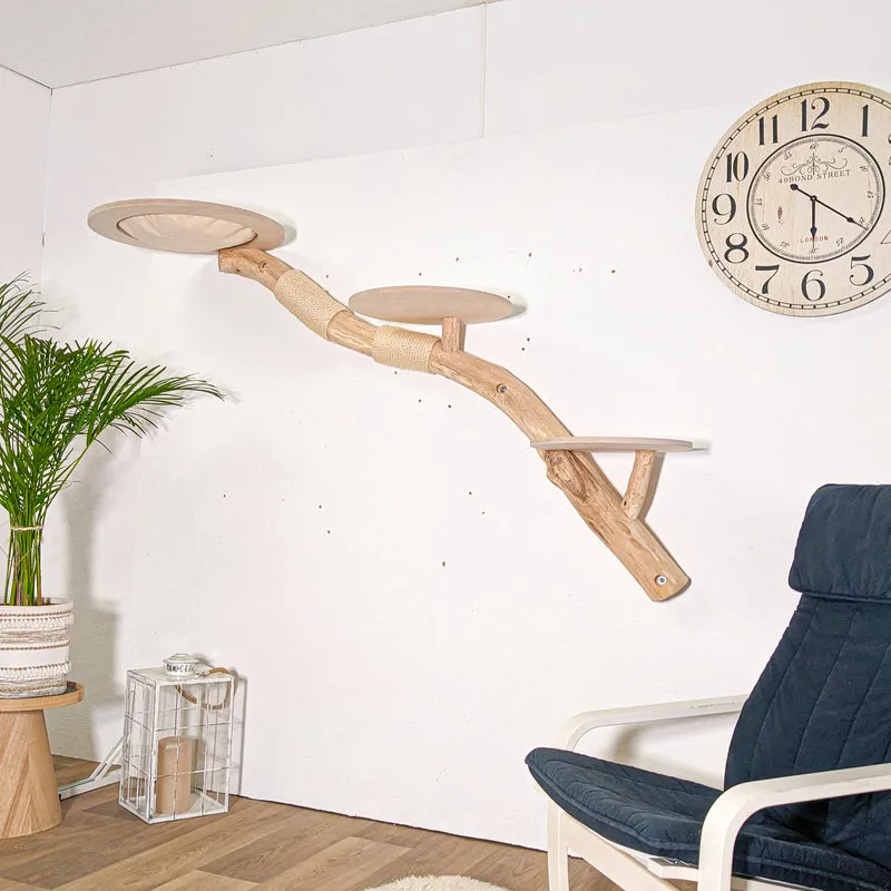 RESERVIERT - Wandkratzbaum 4592 Naturkratzbaum 180 cm Länge Kratzbaum Natur Holz Design