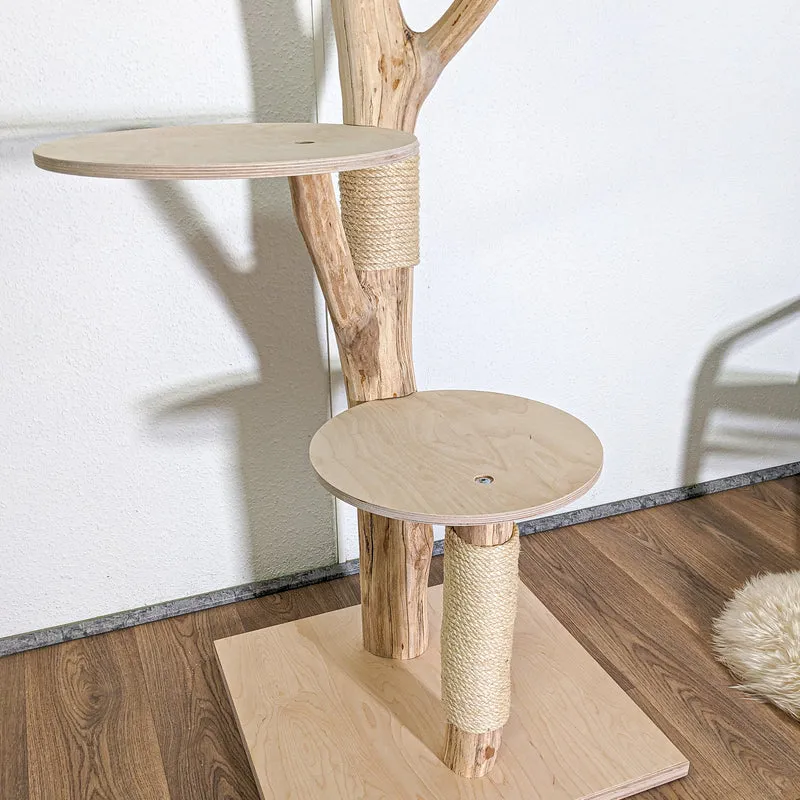 Naturkratzbaum 4590 Kratzbaum Natur Holz Design 170 cm hoch Katzenbaum