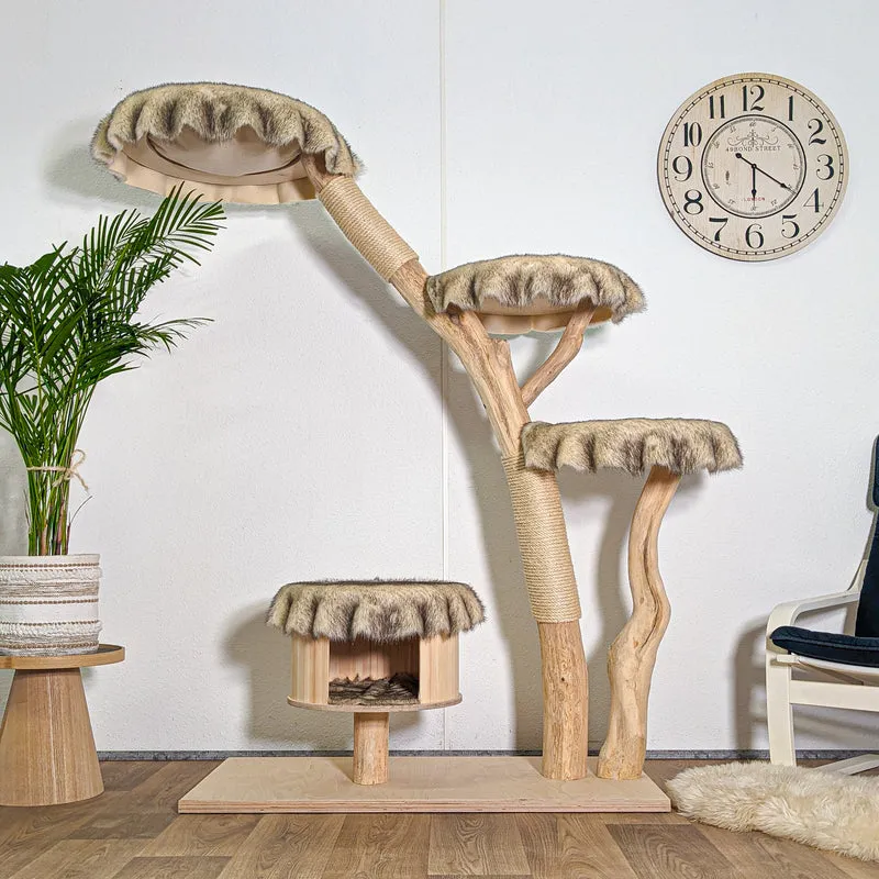 RESERVIERT + ÄNDERUNG Naturkratzbaum 4588 Kratzbaum Natur Holz Design 175 cm hoch Katzenbaum