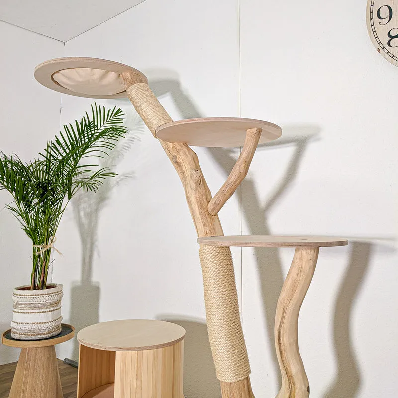 RESERVIERT + ÄNDERUNG Naturkratzbaum 4588 Kratzbaum Natur Holz Design 175 cm hoch Katzenbaum