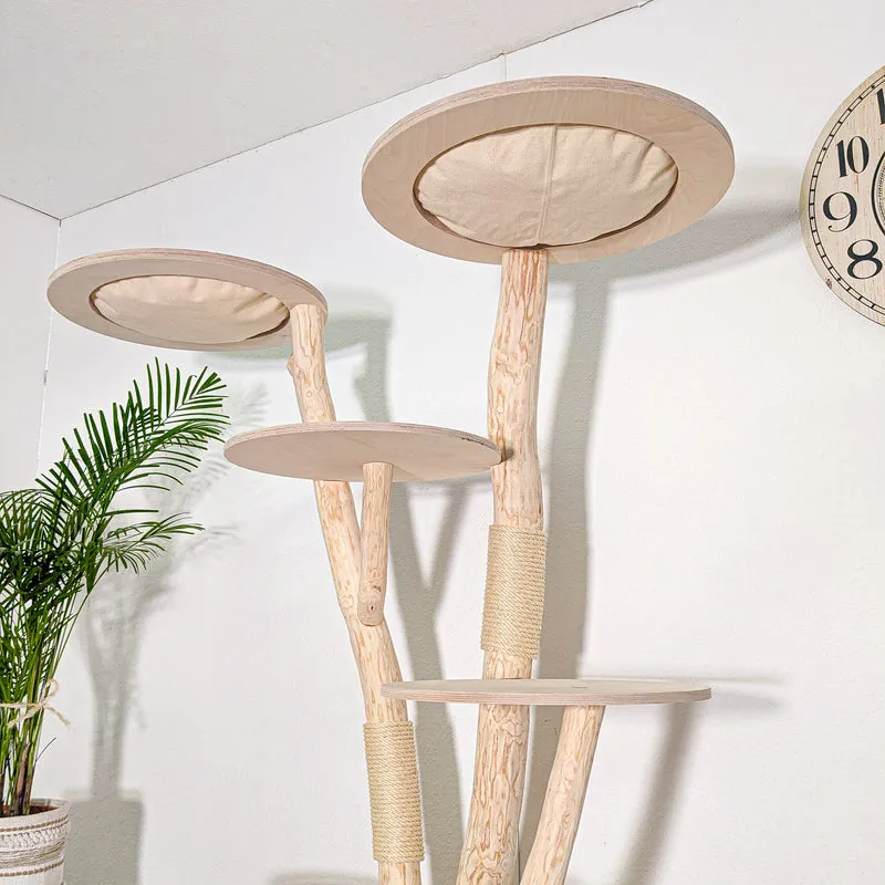 Naturkratzbaum 4583 Kratzbaum Natur Holz Design 172 cm hoch Katzenbaum