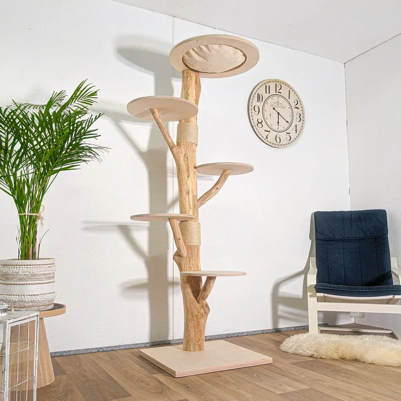 RESERVIERT + ÄNDERUNG Naturkratzbaum 4581 Kratzbaum Natur Holz Design 190 cm hoch Katzenbaum