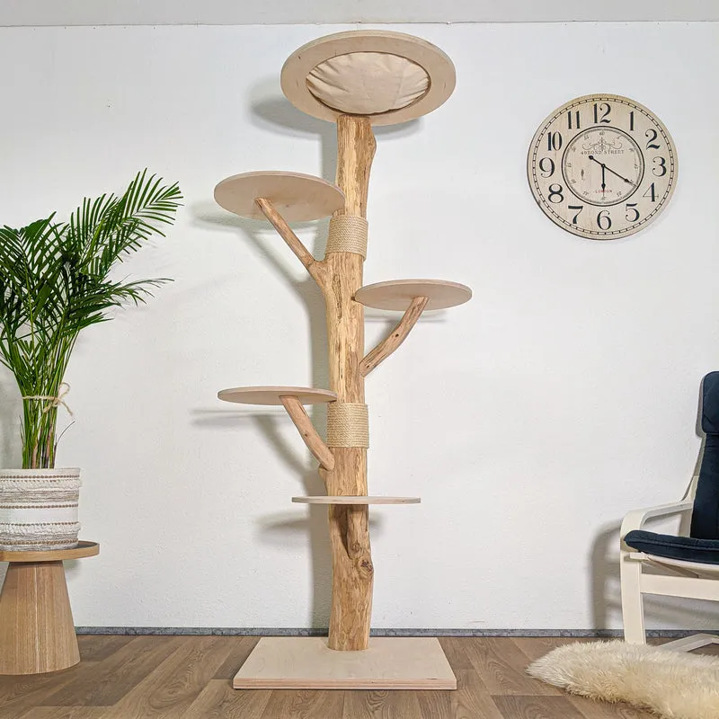 RESERVIERT + ÄNDERUNG Naturkratzbaum 4581 Kratzbaum Natur Holz Design 190 cm hoch Katzenbaum