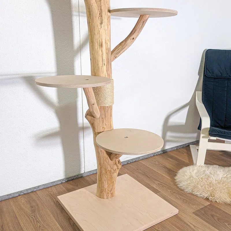 RESERVIERT + ÄNDERUNG Naturkratzbaum 4581 Kratzbaum Natur Holz Design 190 cm hoch Katzenbaum