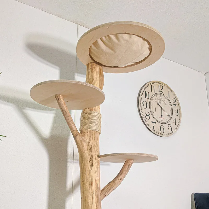 RESERVIERT + ÄNDERUNG Naturkratzbaum 4581 Kratzbaum Natur Holz Design 190 cm hoch Katzenbaum
