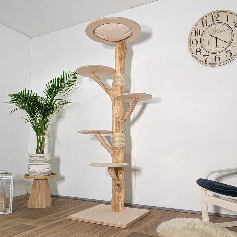 RESERVIERT + ÄNDERUNG Naturkratzbaum 4581 Kratzbaum Natur Holz Design 190 cm hoch Katzenbaum