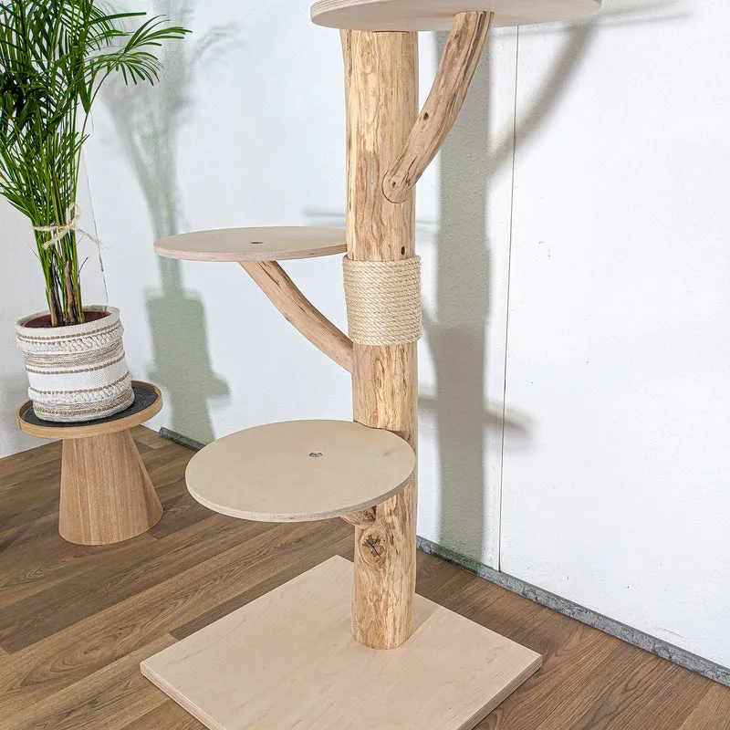 RESERVIERT + ÄNDERUNG Naturkratzbaum 4581 Kratzbaum Natur Holz Design 190 cm hoch Katzenbaum