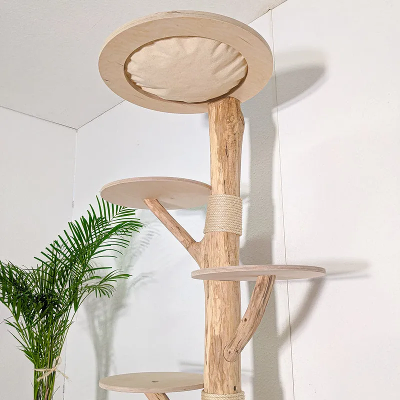 RESERVIERT + ÄNDERUNG Naturkratzbaum 4581 Kratzbaum Natur Holz Design 190 cm hoch Katzenbaum