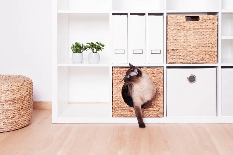 Katzenkorb für Kallax Regal