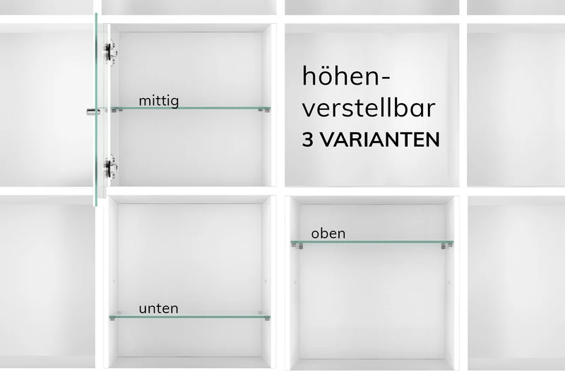 Kallax Einsatz mit Glastür
