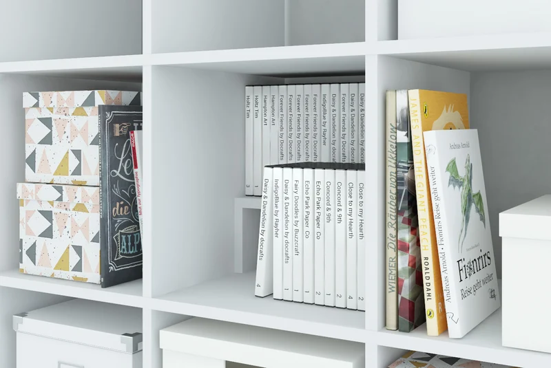 Kallax DVD Einsatz