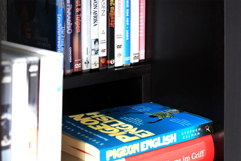 Kallax DVD Einsatz
