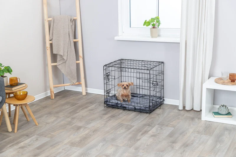 Hundebox Home