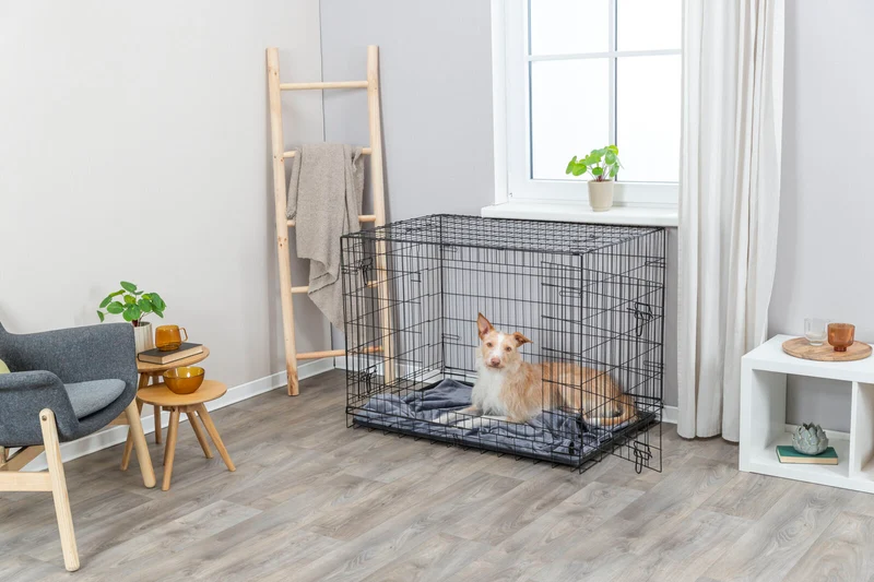 Hundebox Home