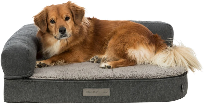 Vital Sofa Bendson