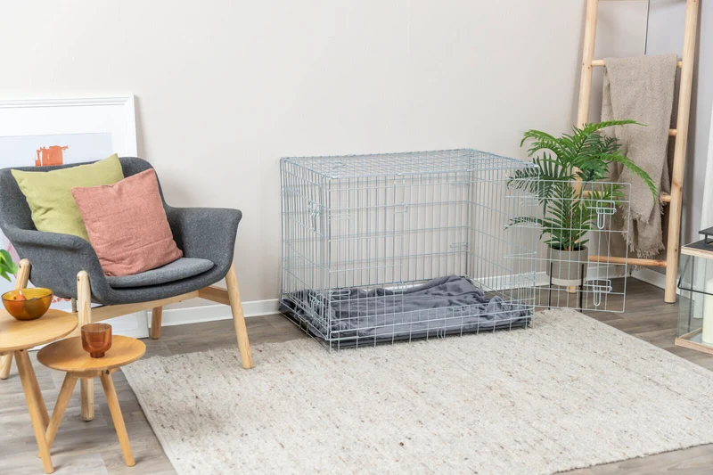 Hundebox Home