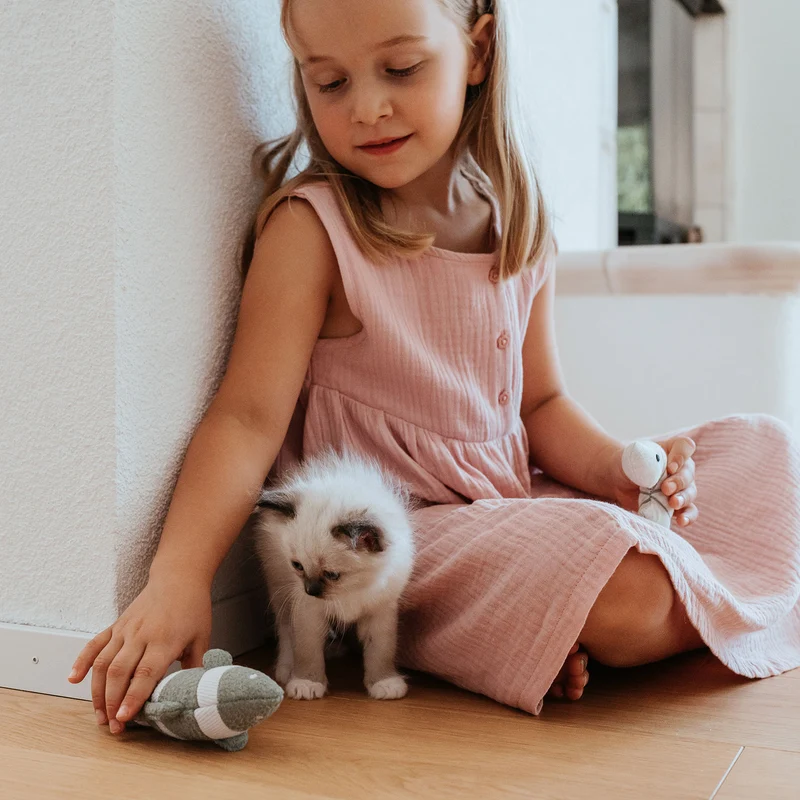 Katzenspielzeug Seki