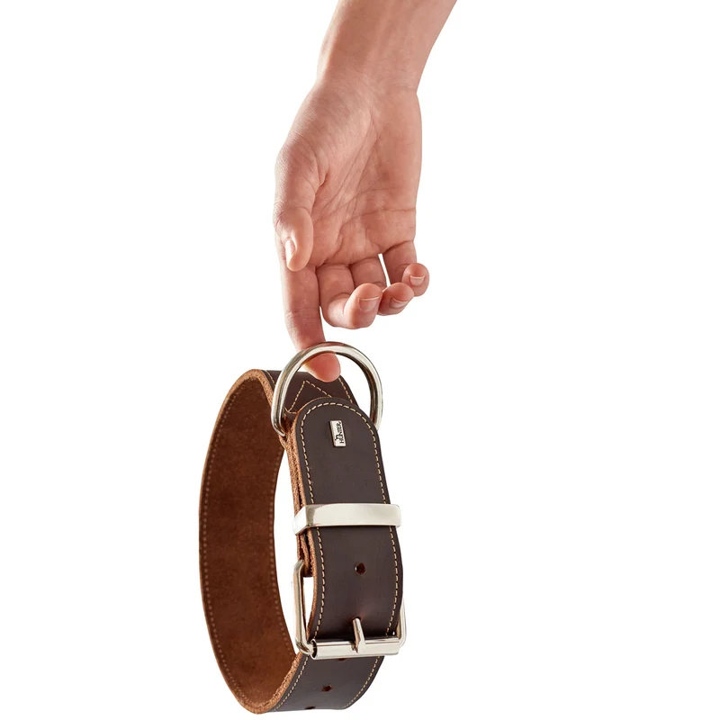 Halsband Aalborg Special
