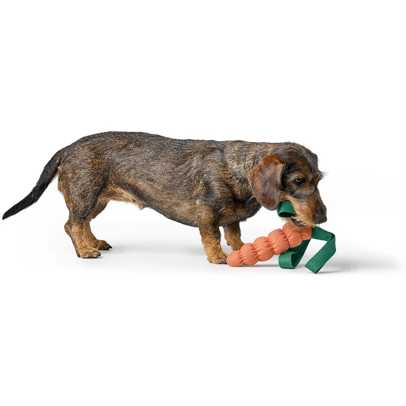 Hundespielzeug Venice