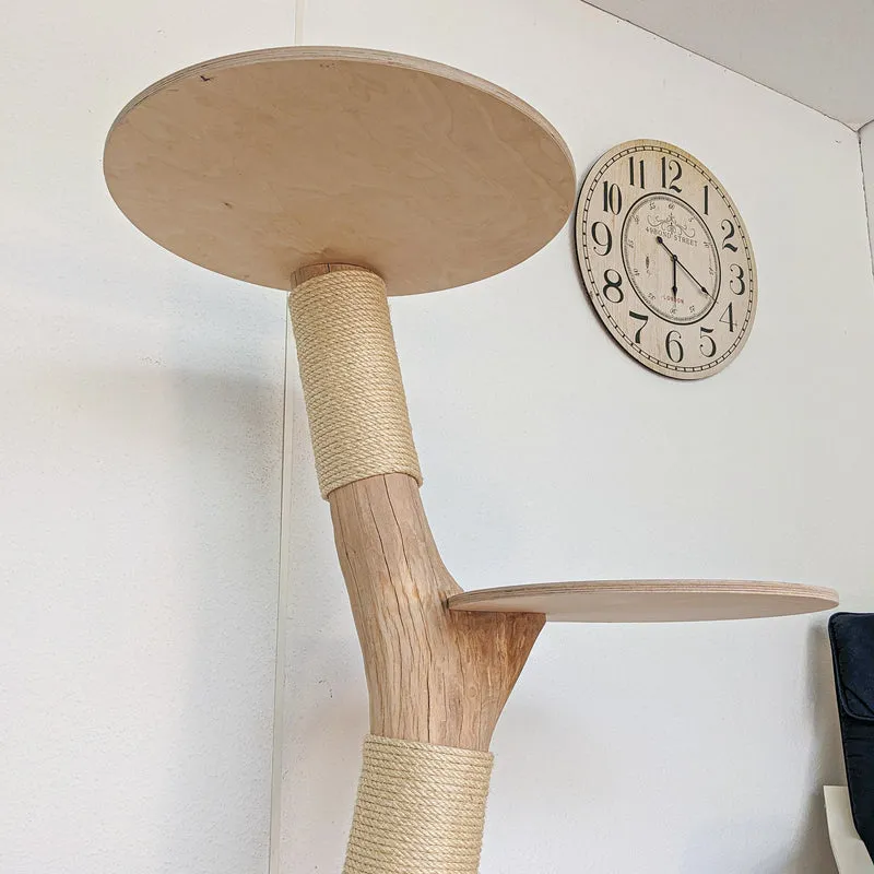 Naturkratzbaum 4567 Kratzbaum Natur Holz Design 145 cm hoch Katzenbaum