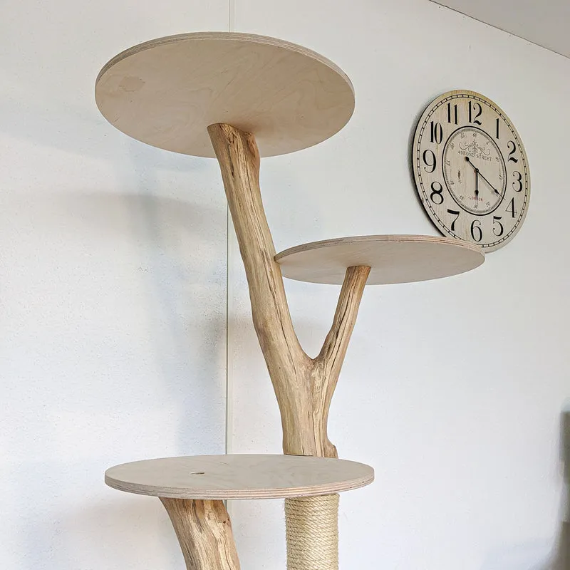 Naturkratzbaum 4563 Kratzbaum Natur Holz Design 163 cm hoch Katzenbaum