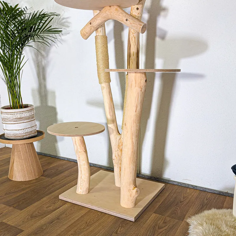RESERVIERT - Naturkratzbaum 4548 Kratzbaum Natur Holz Design 165 cm hoch Katzenbaum