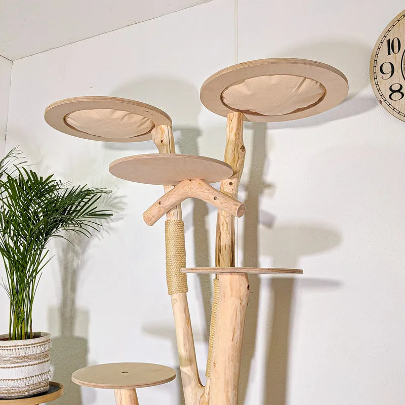 RESERVIERT - Naturkratzbaum 4548 Kratzbaum Natur Holz Design 165 cm hoch Katzenbaum
