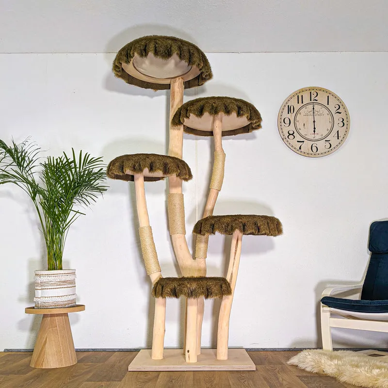 RESERVIERT + ÄNDERUNG - Naturkratzbaum 4547 Kratzbaum Natur Holz Design 210 cm hoch Katzenbaum