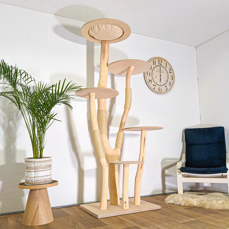 RESERVIERT + ÄNDERUNG - Naturkratzbaum 4547 Kratzbaum Natur Holz Design 210 cm hoch Katzenbaum