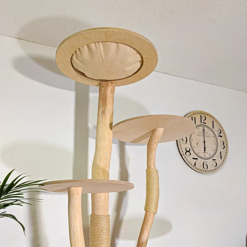RESERVIERT + ÄNDERUNG - Naturkratzbaum 4547 Kratzbaum Natur Holz Design 210 cm hoch Katzenbaum