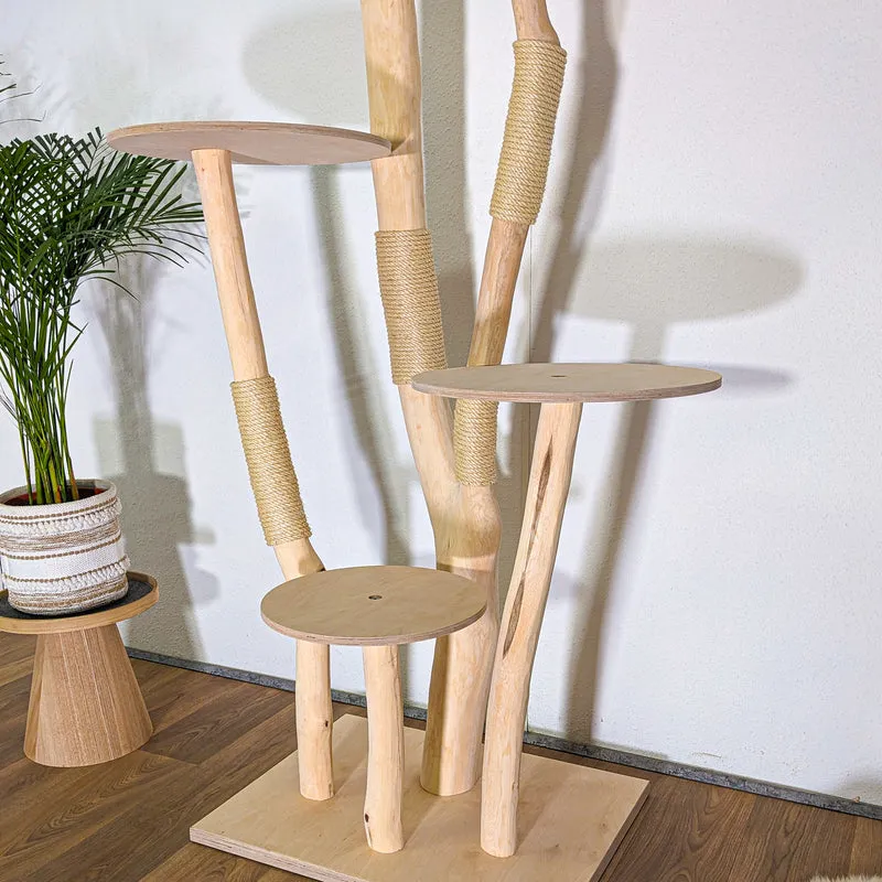 RESERVIERT + ÄNDERUNG - Naturkratzbaum 4547 Kratzbaum Natur Holz Design 210 cm hoch Katzenbaum