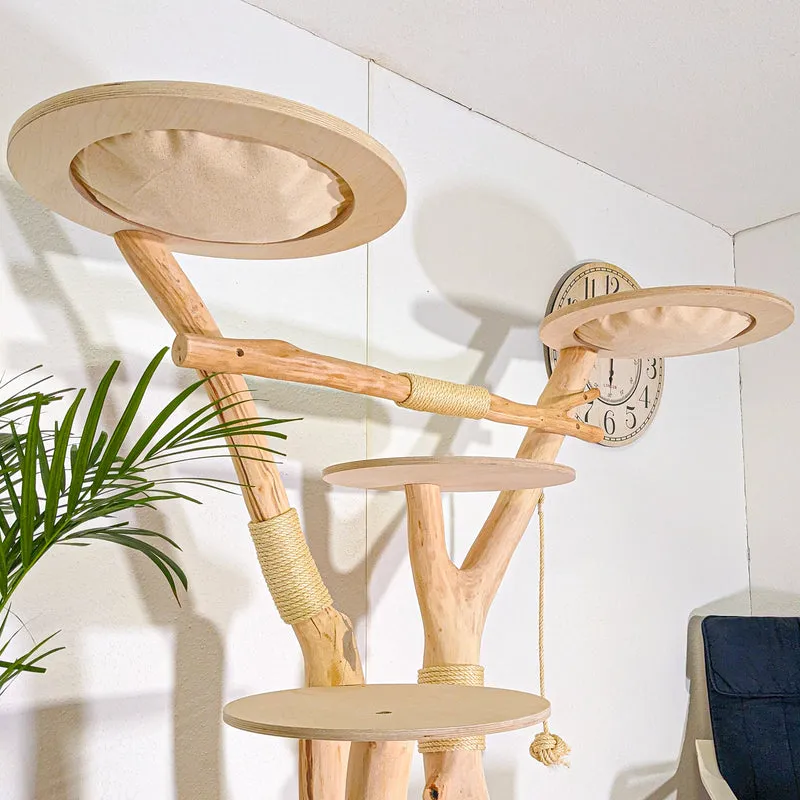 Naturkratzbaum 4546 Kratzbaum Natur Holz Design 175 cm hoch Katzenbaum
