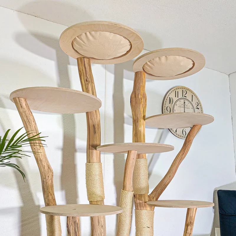 Naturkratzbaum 4545 Kratzbaum Natur Holz Design 200 cm hoch Katzenbaum