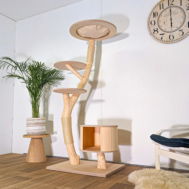 RESERVIERT - Naturkratzbaum 4534 Kratzbaum Natur Holz Design 170 cm hoch Katzenbaum