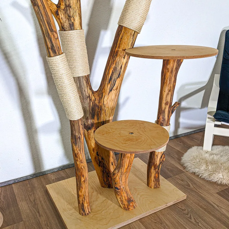 Naturkratzbaum 4533 Kratzbaum Natur Holz Design 205 cm hoch Katzenbaum