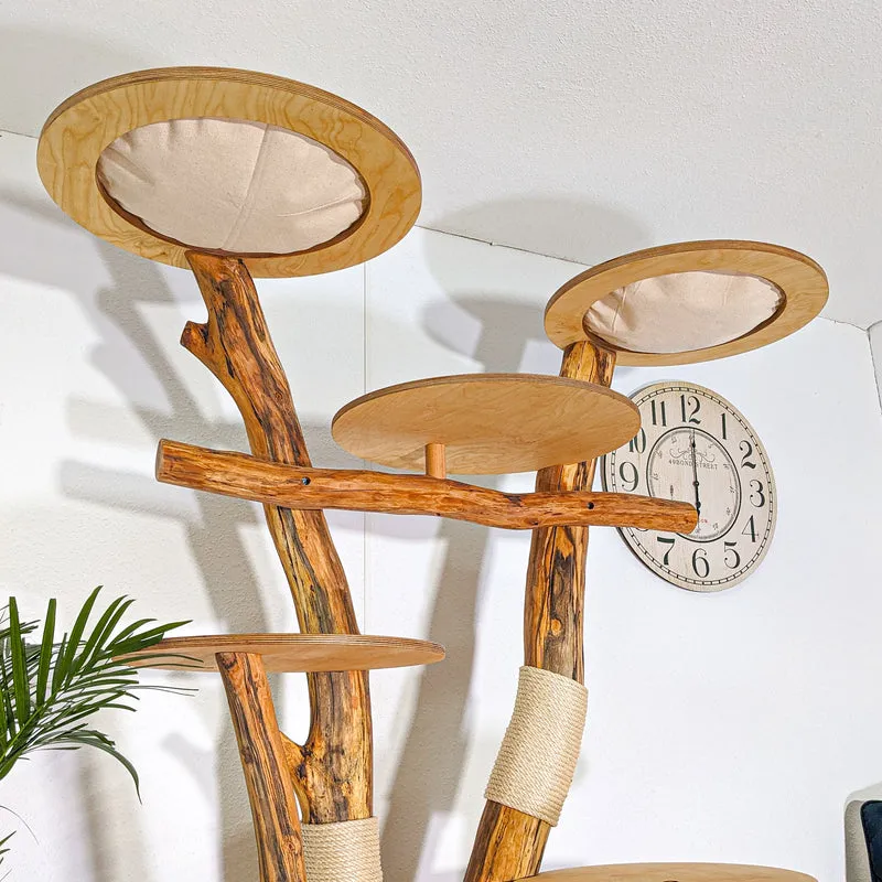Naturkratzbaum 4533 Kratzbaum Natur Holz Design 205 cm hoch Katzenbaum