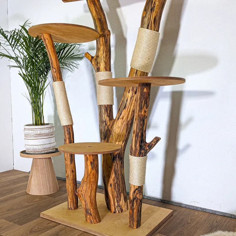 Naturkratzbaum 4533 Kratzbaum Natur Holz Design 205 cm hoch Katzenbaum